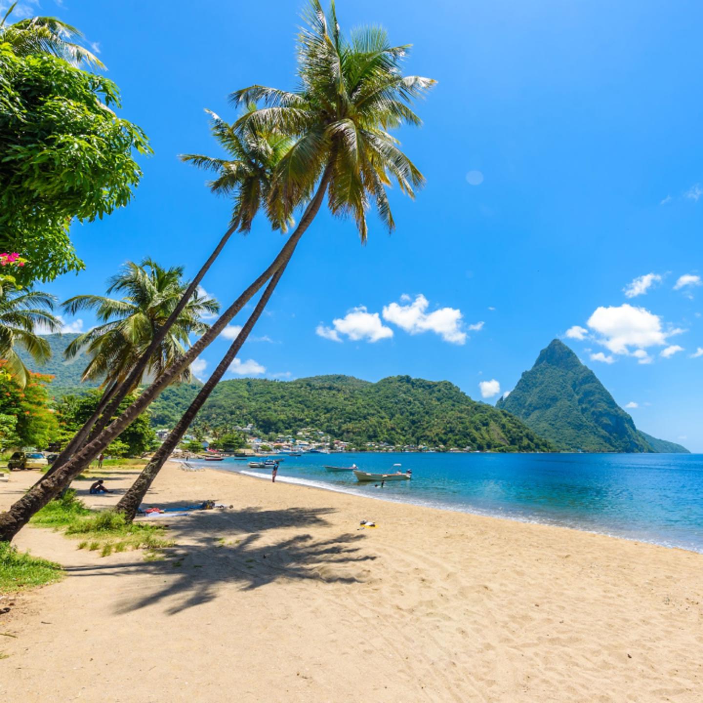 Tropical beach