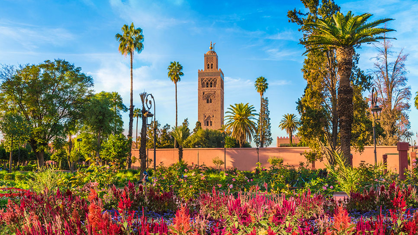 Gardens in Marrakesh